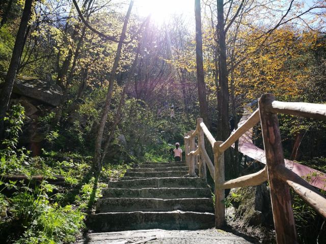 余著此書專為世人點穴尋龍…定吉凶(图1)