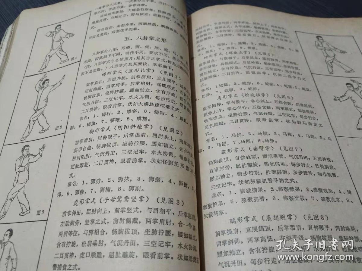 八挂掌的前世今生：武门姜大夫的传奇故事(图1)