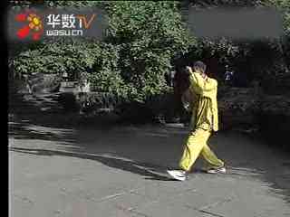 第二届全国全民健身大赛（西北区 宁夏）柔力球选拔赛在固原开赛(图1)