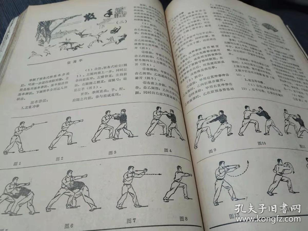 武当八卦掌招式名称(老八掌)(图1)