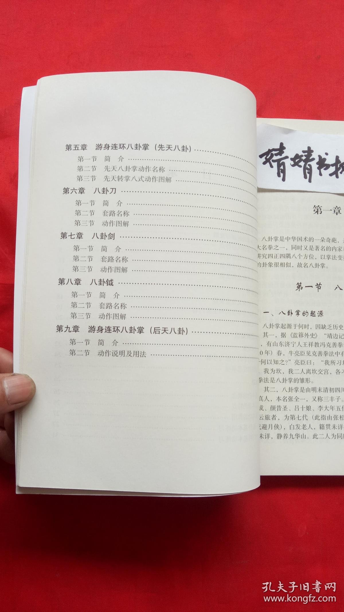 武当八卦连环钺(之一)(图1)