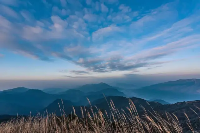 但上天堂山地形险峻、植被茂(图1)