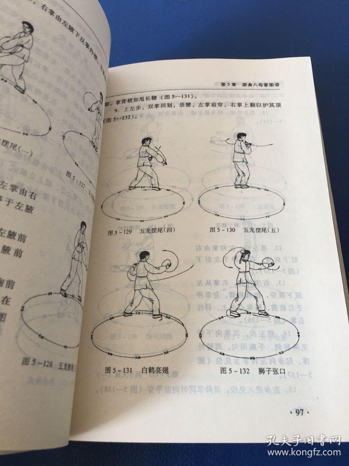 太极拳VS八卦掌谁会更胜一筹?一(图1)