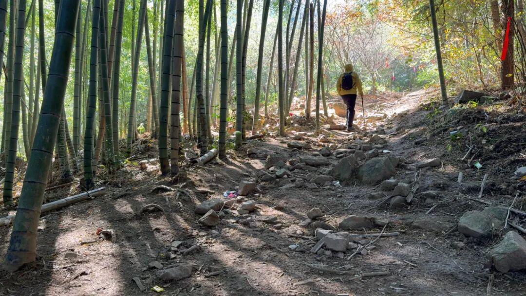 在挪威上班的华人感慨:不要信媒体挪威已经相当于我国二线城市(图1)