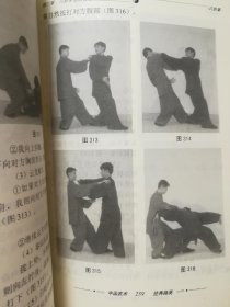 河北沧州民间故事系列之孟村篇（一）孟村八极拳(图1)
