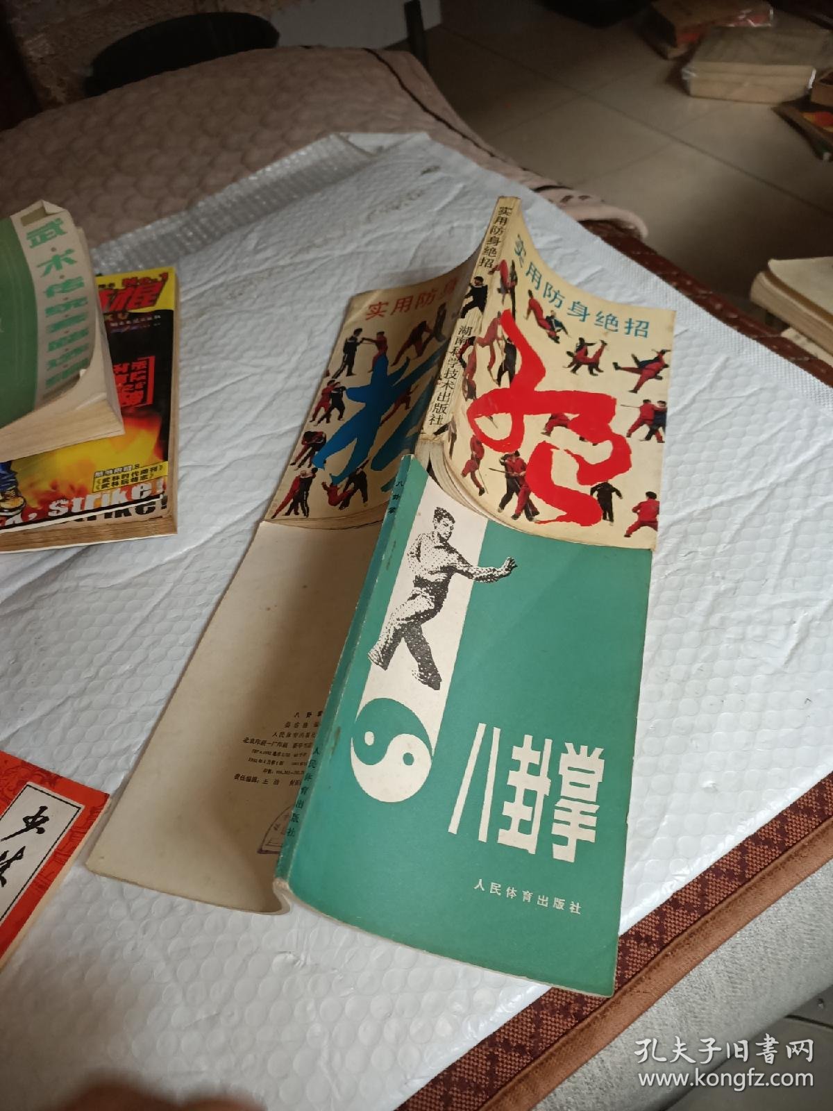 澳大利亚新州精武体育会举办武术节庆祝创会50周年(图1)