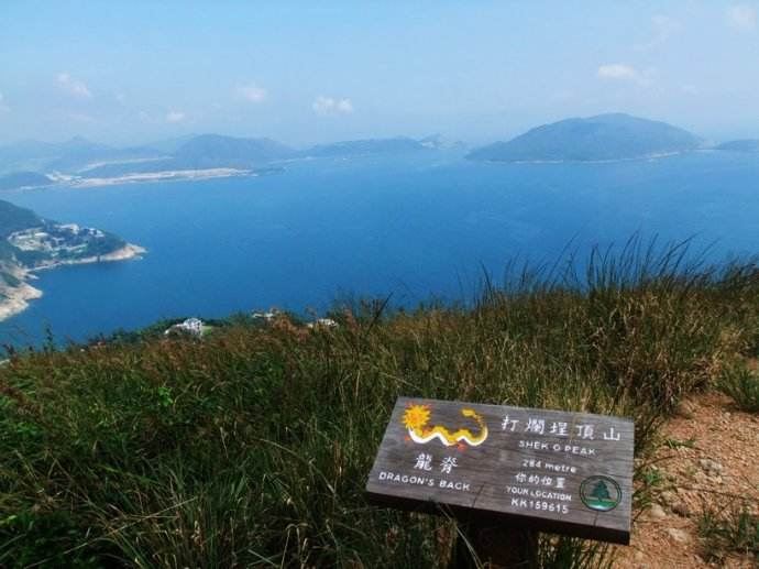 全站实时更新评论(图1)
