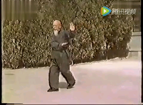 子路八卦拳(图1)