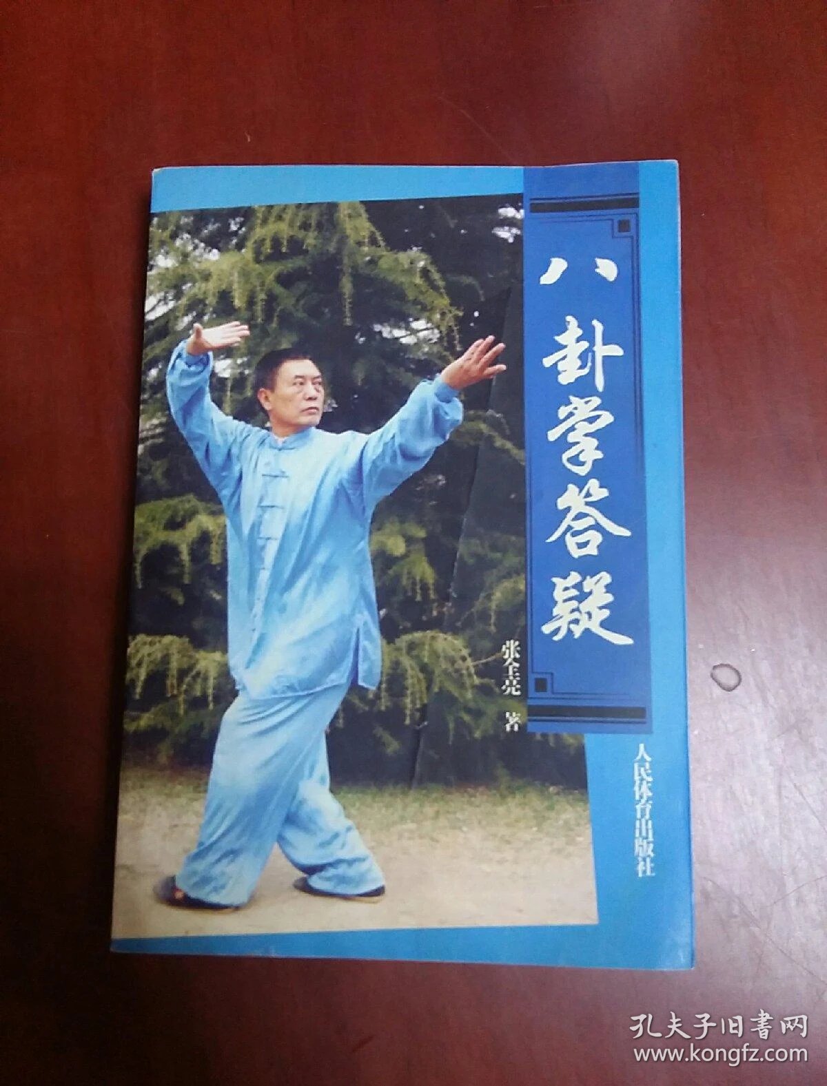 张占魁形意八卦掌程派游身八卦掌基本功挑掌-片花在线观看(图1)