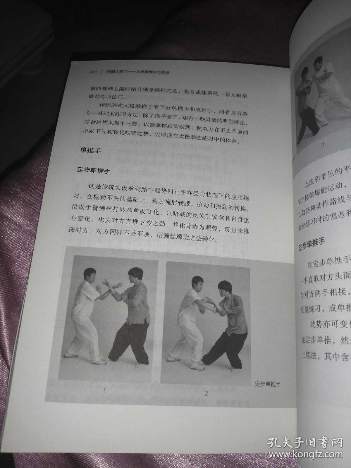近五百名“武林人士”齐聚武当以武会友纪念张三丰(图1)