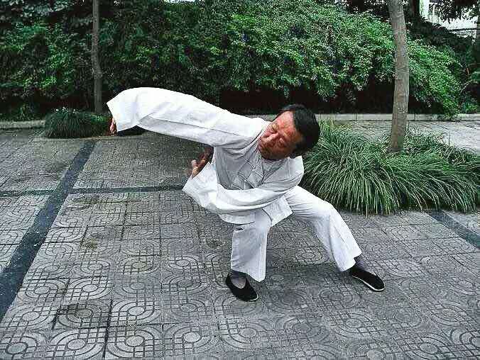 形意八卦掌基础练习——掌法(图解)(图1)