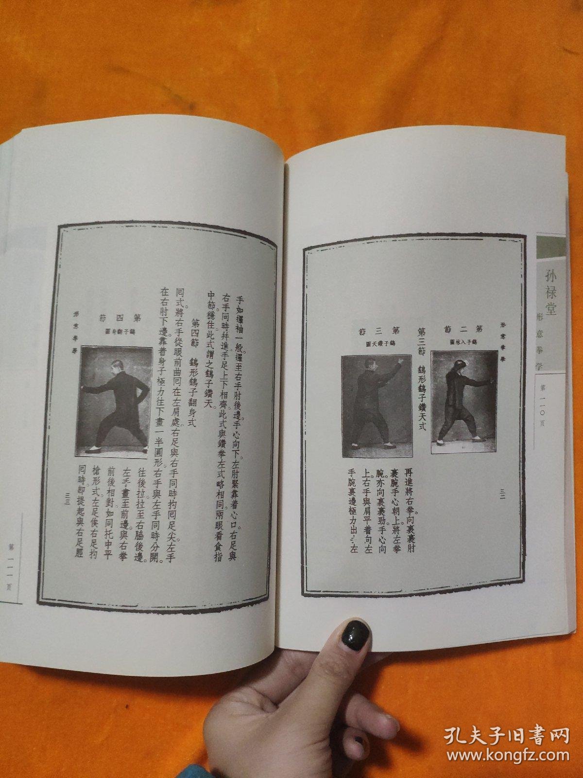 孙禄堂《八卦拳》孙叔容孙宝彦-电影在线观看(图1)