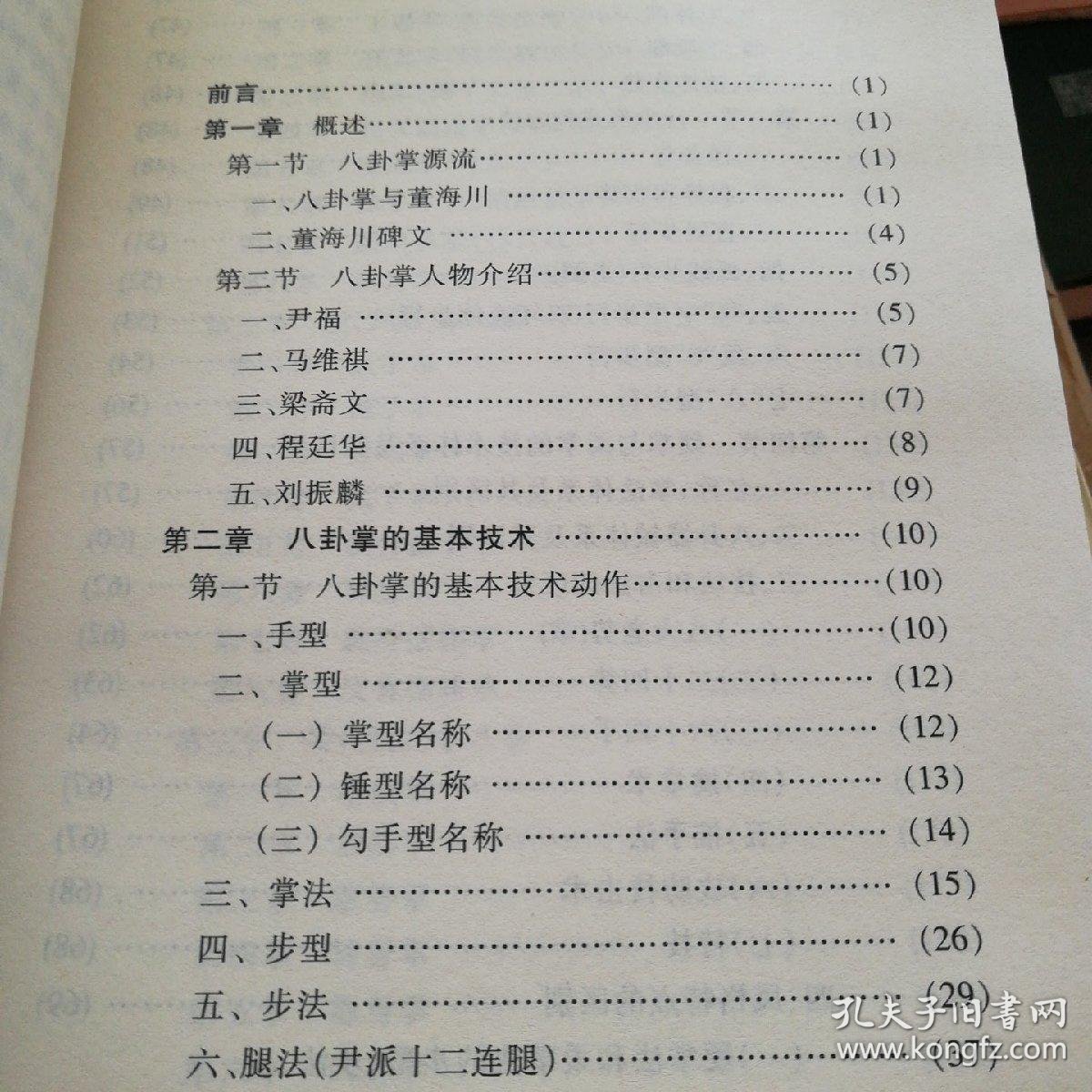 超级玛丽老版本无敌版(图1)