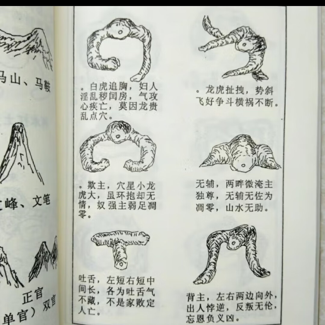 吐血整理!超全人体穴位图谱(附经络循行动图)(图1)
